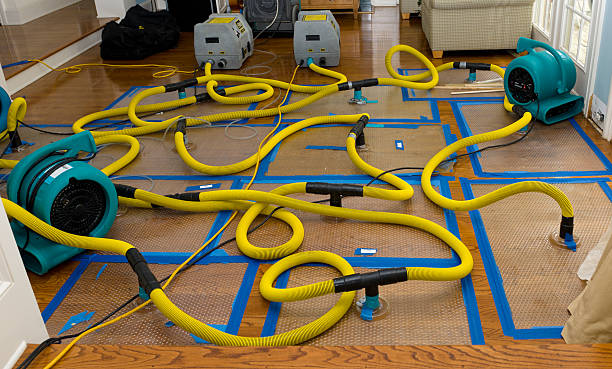 Professional Crawl Space Water Removal technician working in Gleason, TN